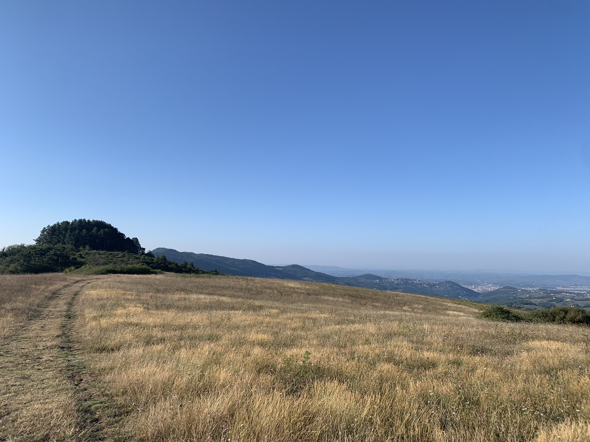 descrizione immagine